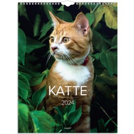 Mayland 2024 Vægkalender | Katte