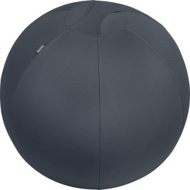 Leitz Ergo Cosy Active balancebold, sort, 65 cm