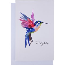 Kort m. kuvert, Kolibri/Tillykke, 11x17 cm