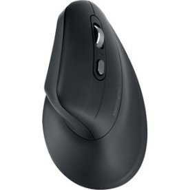 Kensington EQ Mus, sort