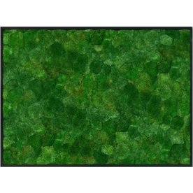 Pudemosbillede, 50x70 cm, m/ramme