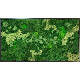 Mosbillede Mix 013, 70x100 cm, m/ramme