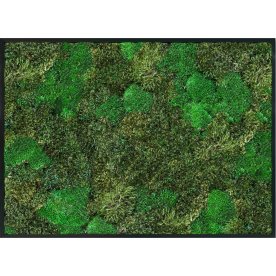 Mosbillede Mix 006, 50x70 cm, m/ramme