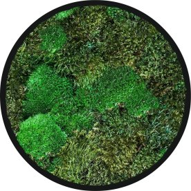 Mosbillede Mix 006, Ø30 cm, m/ramme