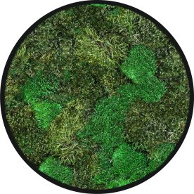 Mosbillede Mix 006, Ø40 cm, m/ramme