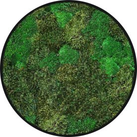 Mosbillede Mix 006, Ø50 cm, m/ramme