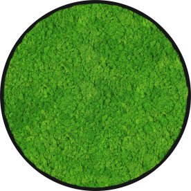 Rensdyrmosbillede, Ø50 cm, m/ramme