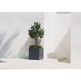 Herstera Plantekrukke, ude, sort, 50x50x50