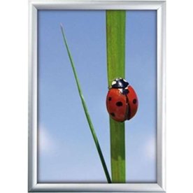 Alu Plakatramme 25 mm, Snap-frame, A4, Sølv