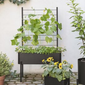 Eva Solo Simply Grow Espalier til plantekasse