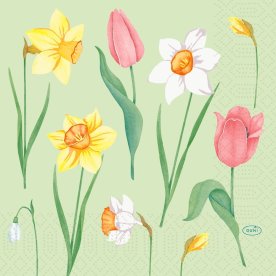 Duni Frokostserviet, 3-lag, Spring Melody, 50 stk.