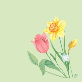 Dunisoft Middagsserviet, Spring Melody, 60 stk.