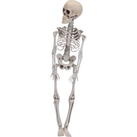 Skeletfigur, 42 cm, plast