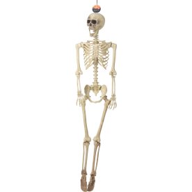 Hængeskelet, klassisk, H165 cm, polypropylen