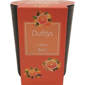 Duftlys i glasstage, 7,4x8,6 cm, Citrus Burst