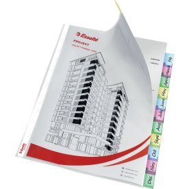 Esselte Indekslomme | A4 Maxi | 130my | 12-delt