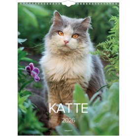 Mayland 2026 Vægkalender, katte
