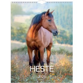Mayland 2026 Vægkalender, heste