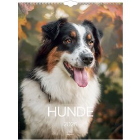 Mayland 2026 Vægkalender, hunde