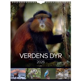 Mayland 2026 Vægkalender, verdens dyr