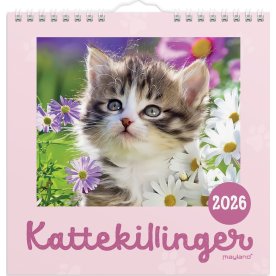 Mayland 2026 Vægkalender Mini, kattekillinger