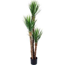 Yucca Rostrata, grøn, 150cm