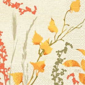 Duni Frokostserviet, 3-lag, Fall Beauty, 50 stk.