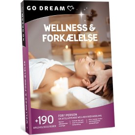 GO DREAM - Wellness & forkælelse