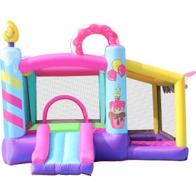 Doctor Dolphin Doughnut Hoppeborg