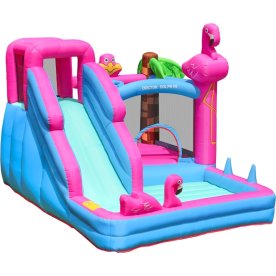 Doctor Dolphin Flamingo Hoppeborg