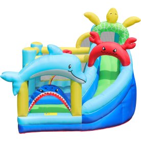 Doctor Dolphin Sea Animals Hoppeborg