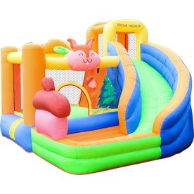 Doctor Dolphin Squirrel Hoppeborg