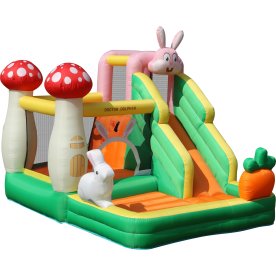 Doctor Dolphin Rabbit Hoppeborg