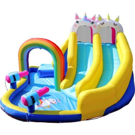 Doctor Dolphin Unicorn Hoppeborg