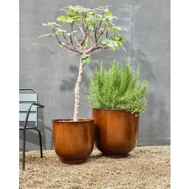 House Doctor Cove Urtepotter, brun, 2 stk