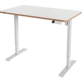Leitz Ergo sidde-/ståbord 120x70 cm, hvid