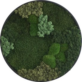 Mosbillede Mix 013, Ø60 cm, m/sort træramme