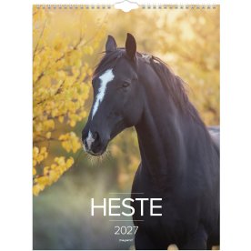 Mayland 2027 Vægkalender, heste
