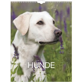 Mayland 2027 Vægkalender, hunde