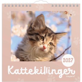Mayland 2027 Vægkalender, Mini, kattekillinger