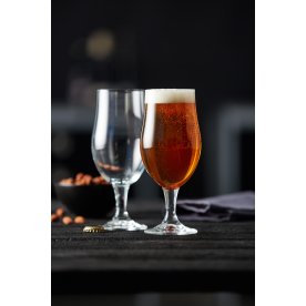 Ölglas Lyngby Glas Juvel 4 st 49 cl