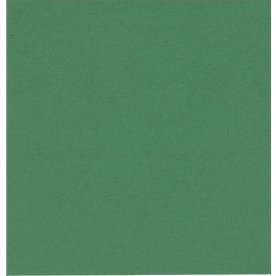 Pappersservett 2-lager 33x33 cm Grön 100 st
