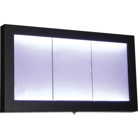 Informationsdisplay Securit 3xA4 Svart