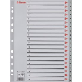 Register Esselte A4 1-20 Plast Grå