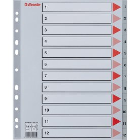 Register Esselte Maxi A4 1-12 Grå