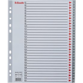 Register Esselte Maxi A4 1-31 Plast Grå