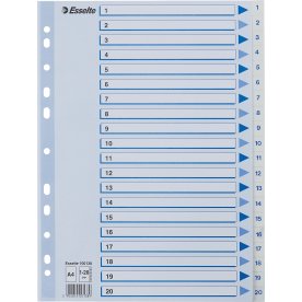 Register Esselte A4 1-20 Plast Vit