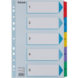 Register Esselte Mylar A4 1-5