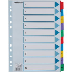 Register Esselte Mylar A4 1-10