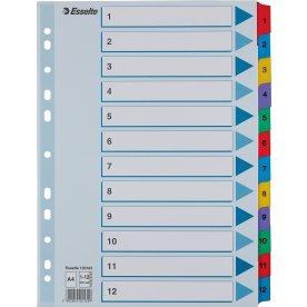 Register Esselte Mylar A4 1-12